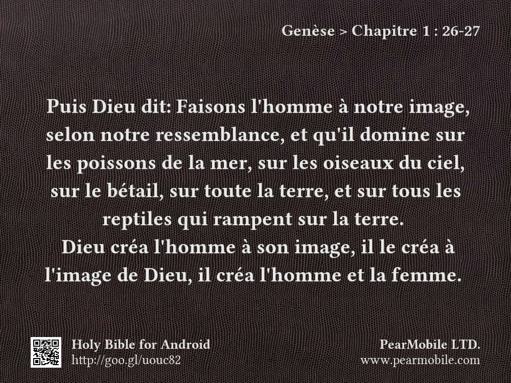 Genèse, Chapitre 1:26-27
